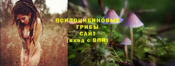 прущие грибы Белоозёрский