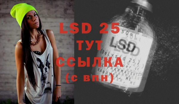прущие грибы Белоозёрский