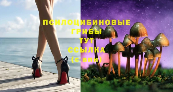 каннабис Белокуриха