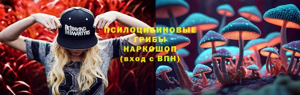 2c-b Беломорск